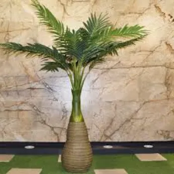  Stylist Areca Palm Plant